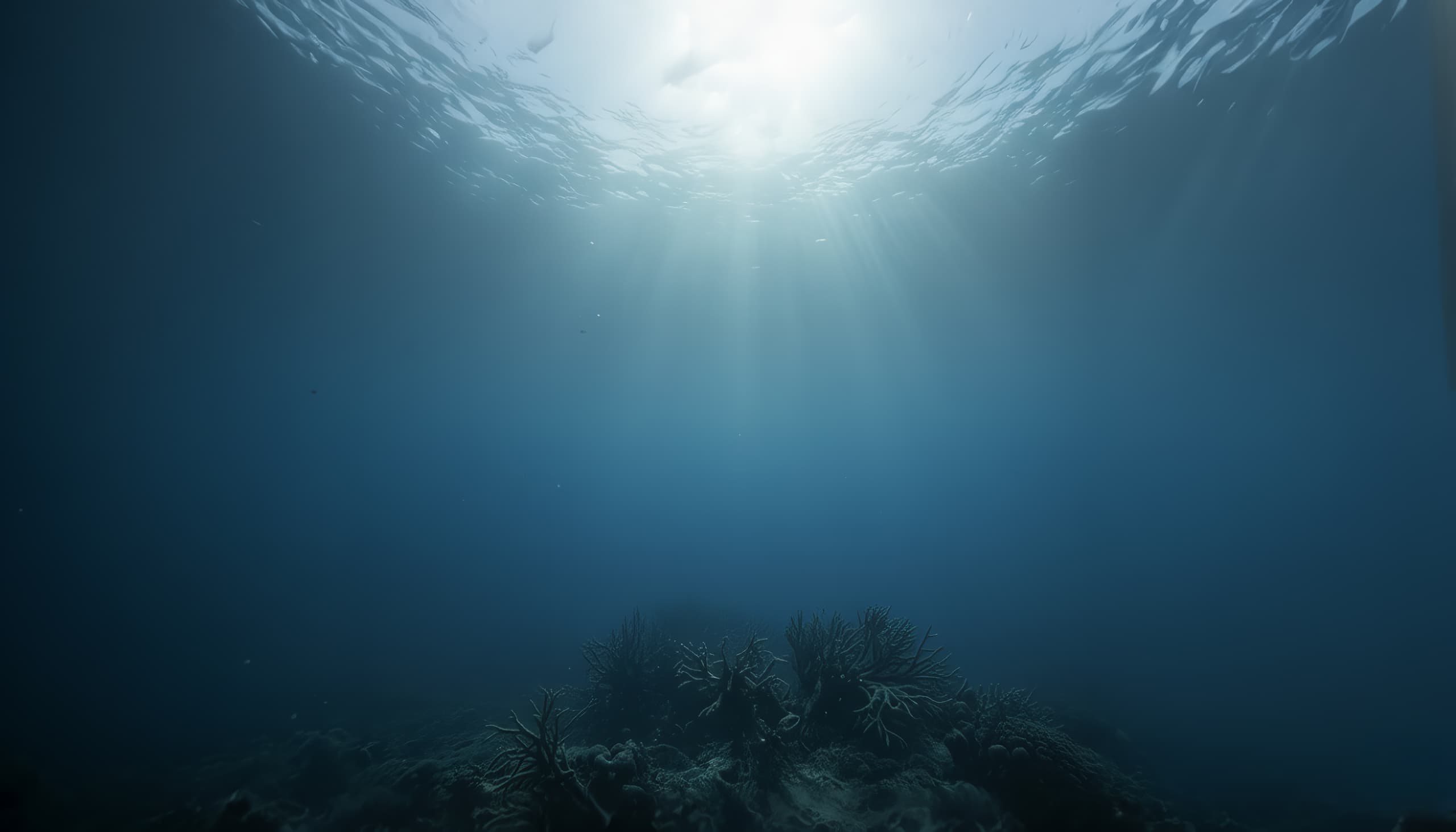 PLA bioplastic composting naturally - sustainable solution